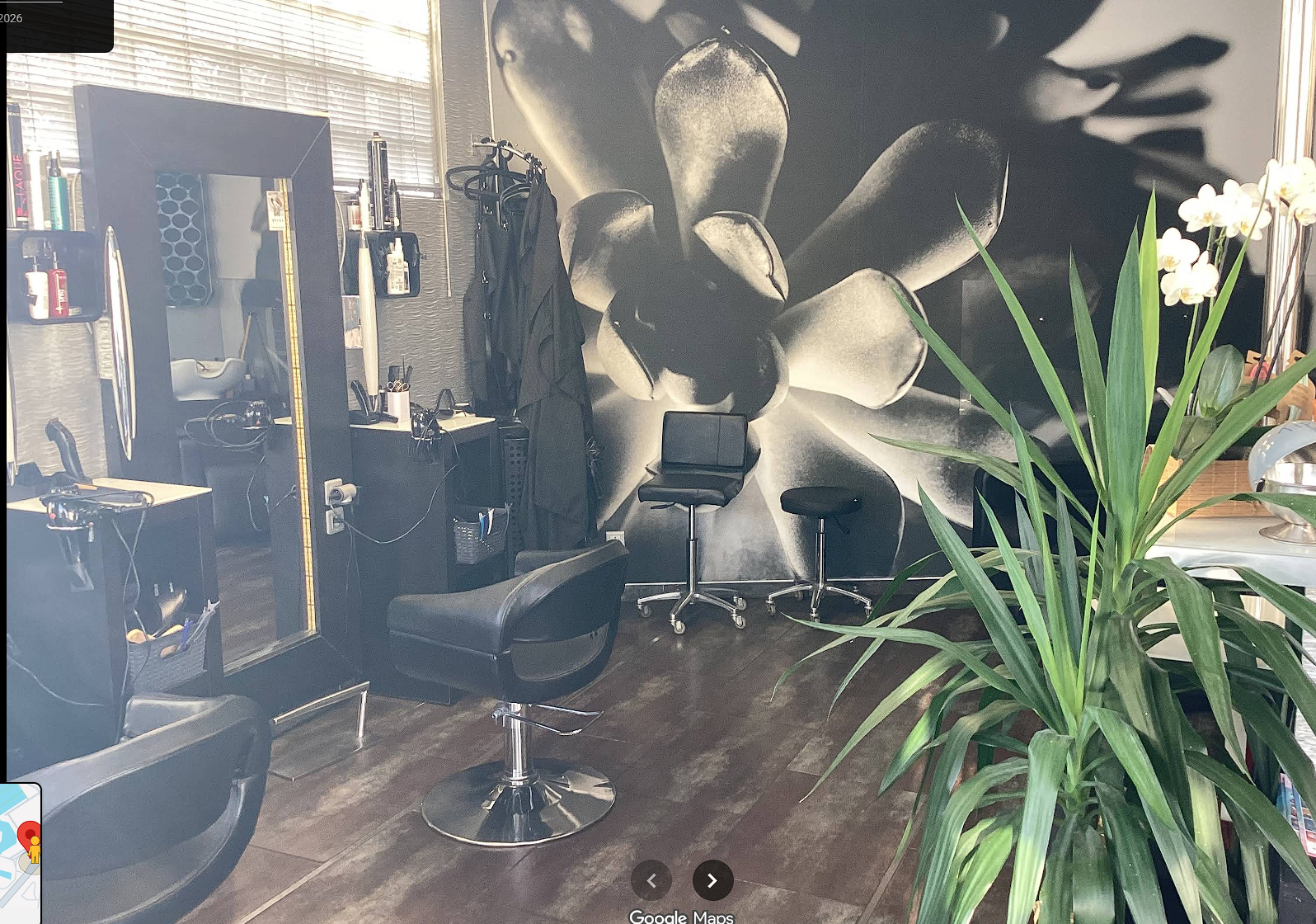 Intérieur du salon L'Aqua fure